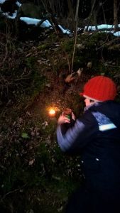 Weihnachten im Wald