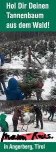 Christbaum selber schlagen: Hol Dir Deinen Tannenbaum aus dem Wald