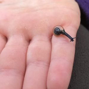 Glücklich als Hausfrau und Mutter: Mama Maus im Interview