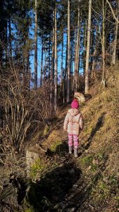 Spuren lesen im Winterwald