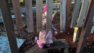 Spuren lesen im Winterwald