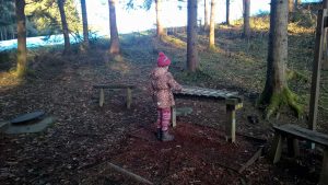Spuren lesen im Winterwald