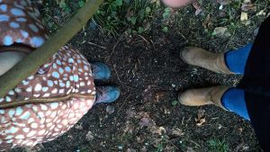 Spuren lesen im Winterwald