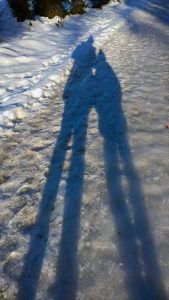 Spuren lesen im Winterwald