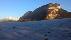 Spuren lesen im Winterwald
