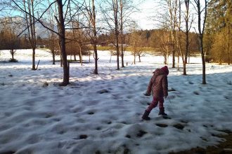 Jahreskreis für Familien: Spuren lesen im Winterwald