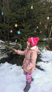 Spuren lesen im Winterwald