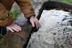 Leben mit Kindern im Schwarzwald #kiezmitkind