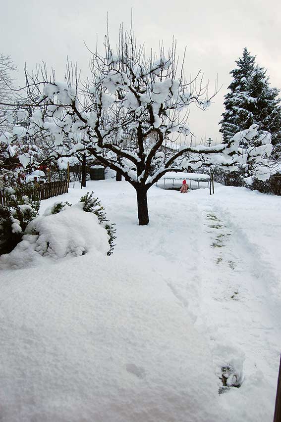 Gemütliches Wochenende mit Schnee: Endlich daheim!