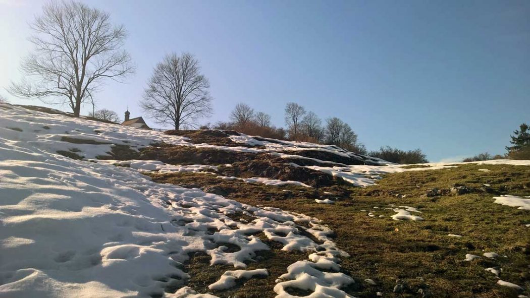 Jeder Frühling ist ein Neubeginn für Körper, Geist und Seele: Dieses Jahr starte ich mit Yoga, Ayurveda und Natur