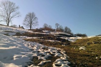 Jeder Frühling ist ein Neubeginn für Körper, Geist und Seele: Dieses Jahr starte ich mit Yoga, Ayurveda und Natur