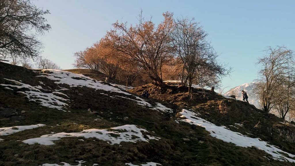 Jeder Frühling ist ein Neubeginn für Körper, Geist und Seele: Dieses Jahr starte ich mit Yoga, Ayurveda und Natur