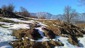Jeder Frühling ist ein Neubeginn für Körper, Geist und Seele: Dieses Jahr starte ich mit Yoga, Ayurveda und Natur