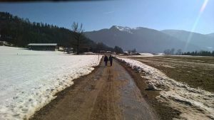 Jeder Frühling ist ein Neubeginn für Körper, Geist und Seele: Dieses Jahr starte ich mit Yoga, Ayurveda und Natur