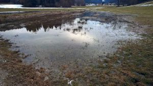 Jahreskreis erleben: Natur im März
