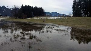 Jahreskreis erleben: Natur im März