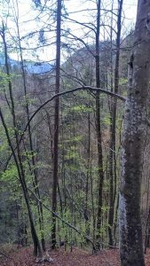 Entdecker am Berg - Kinder einfach machen lassen