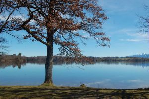 Werdenfelser Land mit Kindern entdecken: zwischen Kunst und Natur