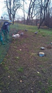 Werdenfelser Land mit Kindern entdecken: zwischen Kunst und Natur