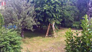 gärtnern mit Kindern