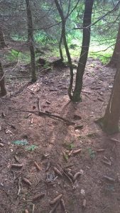 Selbstliebe heißt Zeit ohne Internet verbringen