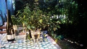 Selbstliebe & Achtsamkeit: Auszeiten als Selbstschutz