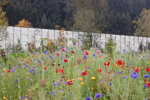 Bewusster Umgang mit dem Netz: Offline Abenteuer und online mit Kindern bewusste Zeit verbringen