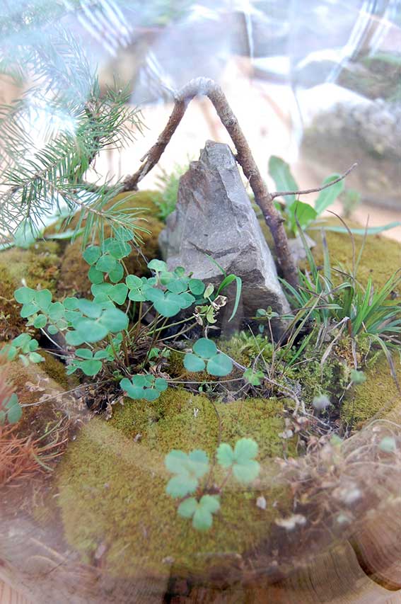 Ökologische Matratzen und Möbel, Mode und Naturkosmetik in der neuen Grüne Erde Welt im oberösterreichischen Almtal entdecken