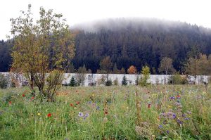 Ökologische Matratzen und Möbel, Mode und Naturkosmetik in der neuen Grüne Erde Welt im oberösterreichischen Almtal entdecken