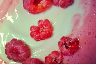 Abnehmen mit zuckerfreier Ernähung -zuckerfrei backen und die Ernährungswende