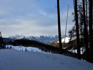 Skifahren mit Kindern im Stubaital – Serles Mieders
