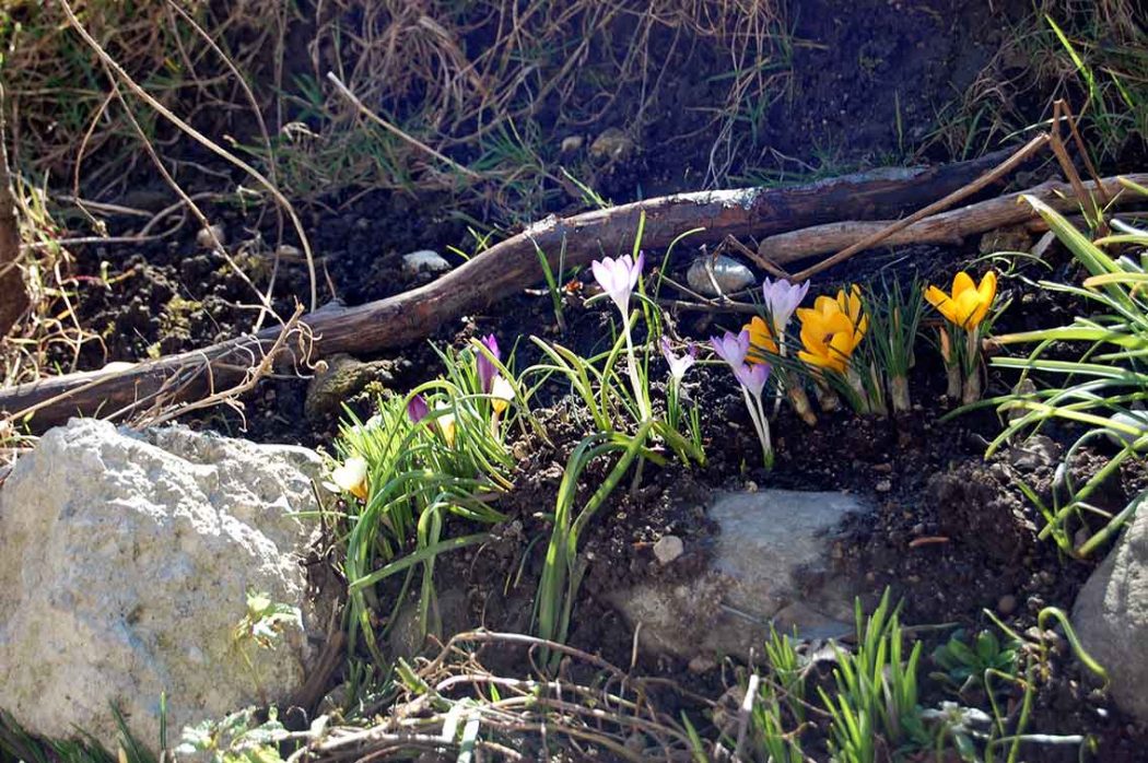 Inspiration FRÜHLING - Frühlingsfarben