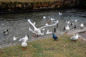 Inspiration FRÜHLING - Frühlingsfarben