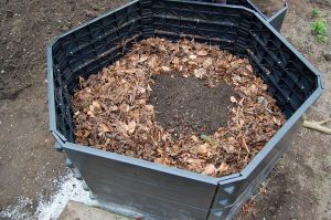 DIY-Projekt: Mein eigenes Hochbeet für den Gemüseanbau