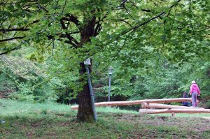 Wochenende in Salzburg mit Kindern und Netzwerken