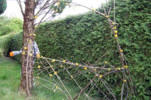 Kaufladen: Ein wilder Garten zum Spielen und Toben