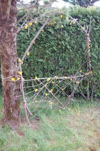 Ein wilder Garten zum Spielen und Toben