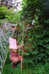 Ein wilder Garten zum Spielen und Toben