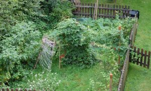 Ein wilder Garten zum Spielen und Toben