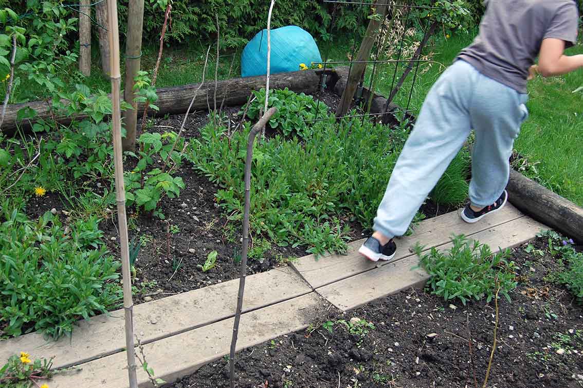 Ein wilder Garten zum Spielen und Toben
