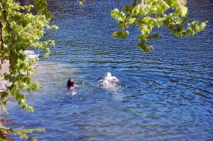 Mutprobe für Naturkinder: Sprung ins Eiswasser