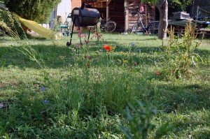 Mehr analoge Zeit im Garten verbringen! Freundschaften pflegen, Grill gehört dazu