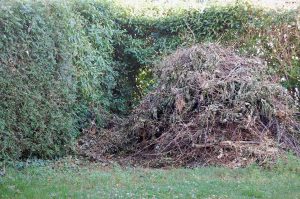 Mehr analoge Zeit im Garten verbringen! TUT GUT