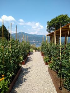 La Darbia Vegetable Garden