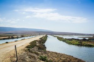 Sustainable Fish Farming Wetlands