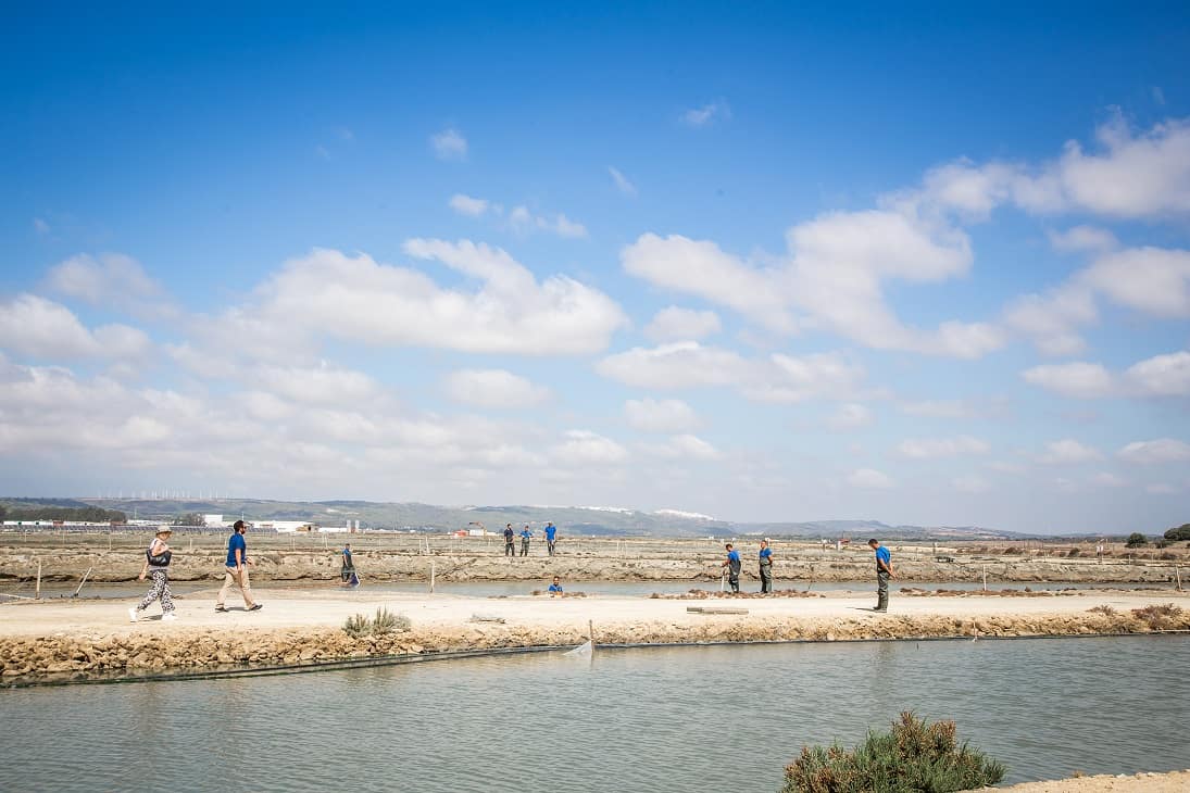 Sustainable Fish Farming Pesquerias Lubimar Fish Pools