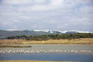 Sustainable Fish Farming restores wild life