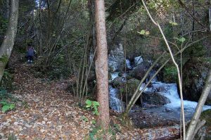 Waldbaden & Klammwanderungen bei Innsbruck