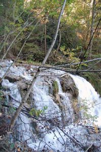 Waldbaden