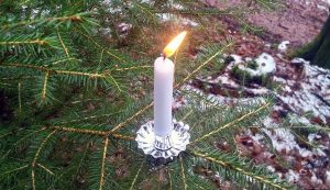 Waldweihnacht und Alternativen zum Tannenbaum